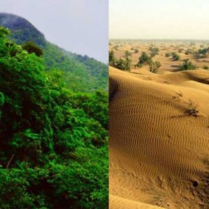 Perbedaan Hutan Hujan Tropis dan Gurun
