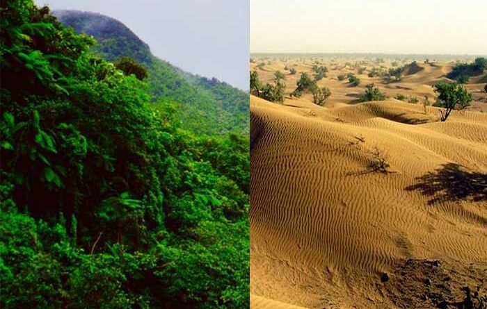 Perbedaan Hutan Hujan Tropis dan Gurun