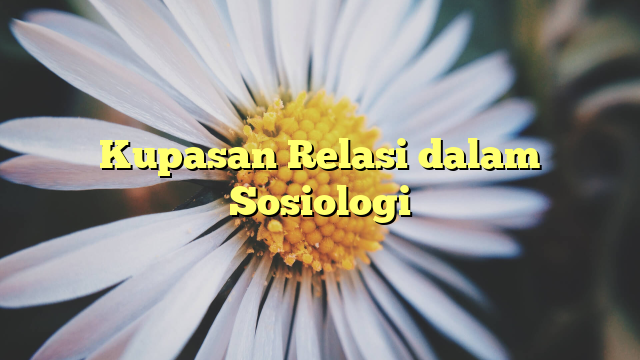 Kupasan Relasi dalam Sosiologi