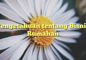 Pengetahuan tentang Bisnis Rumahan