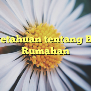 Pengetahuan tentang Bisnis Rumahan