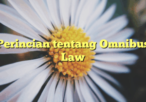 Perincian tentang Omnibus Law