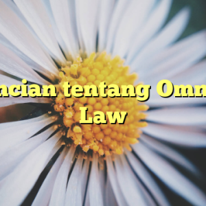 Perincian tentang Omnibus Law