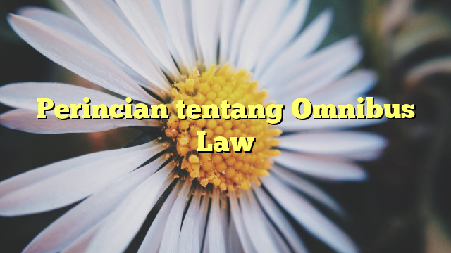 Perincian tentang Omnibus Law
