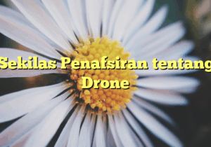 Sekilas Penafsiran tentang Drone