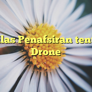 Sekilas Penafsiran tentang Drone