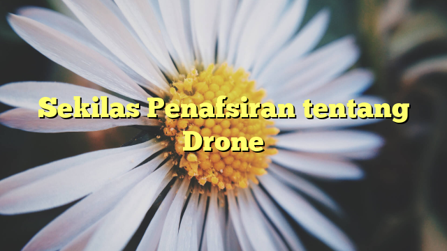 Sekilas Penafsiran tentang Drone