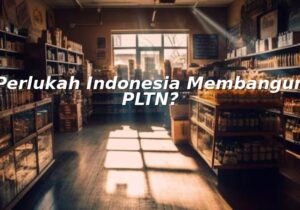 perlukah indonesia membangun pltn?