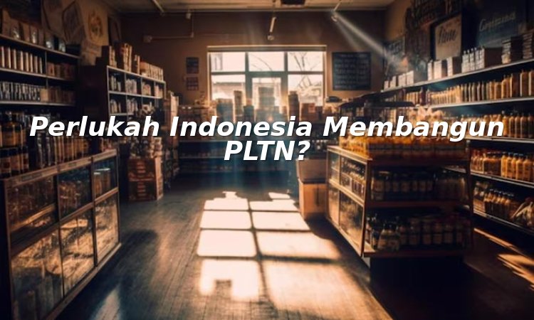 perlukah indonesia membangun pltn?